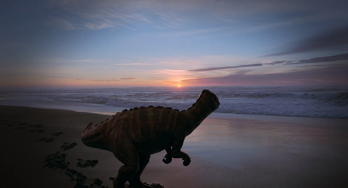 Voyage of time : au fil de la vie - bluray